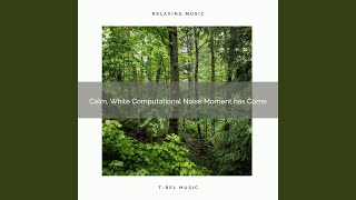 Relaxing, Algorithmic Noise Hour