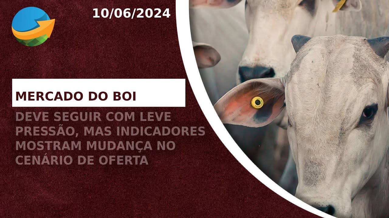 Boi: redução no ritmo de compras já começou a ser percebido, porém, as escalas alongadas limitam ...