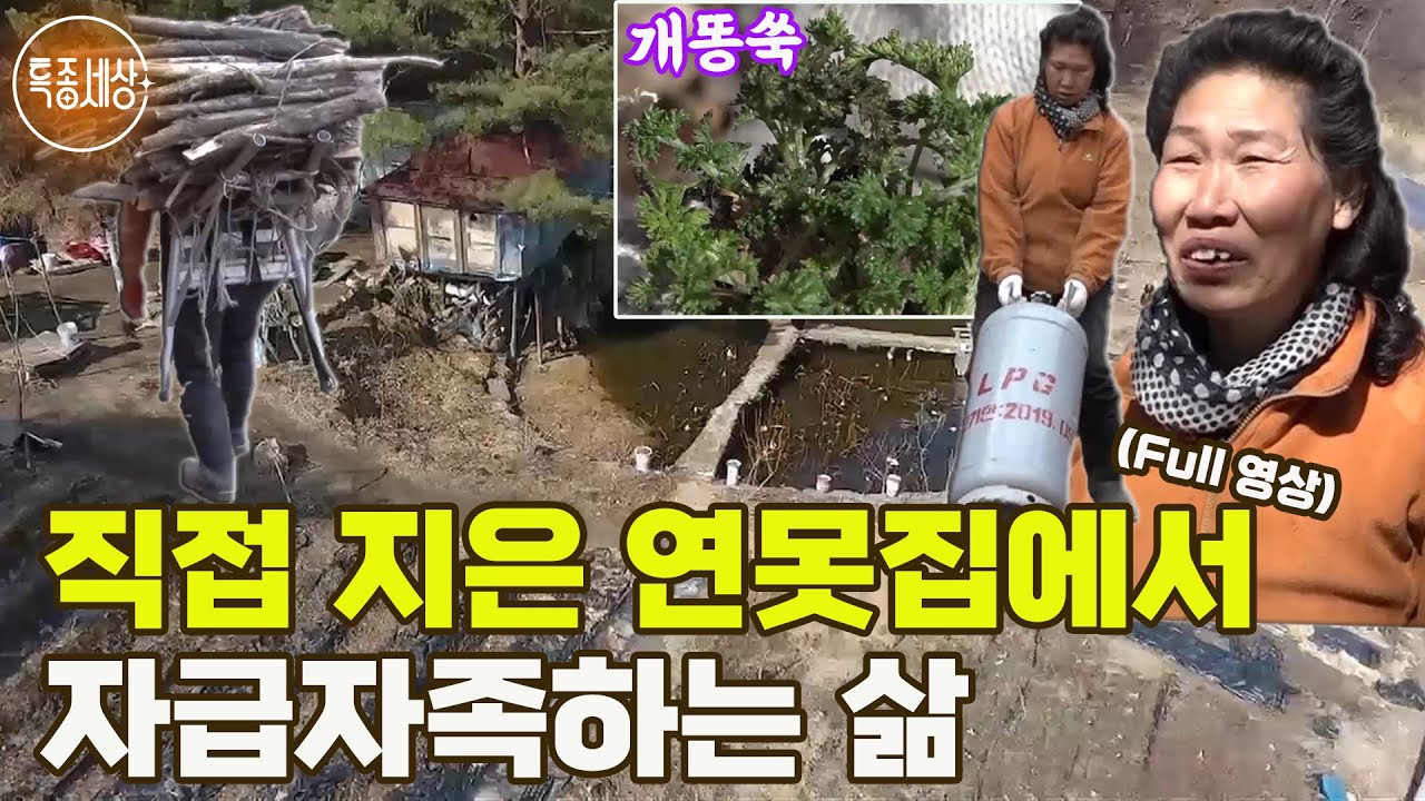 [특종세상] 흙탕물로 세수하고 솔잎즙으로 이 닦는 것이 진정한 자연인?! 깊은 산속 직접 지은 연못집에서 자급자족하는 삶 MBN 190322 방송 [Full영상]