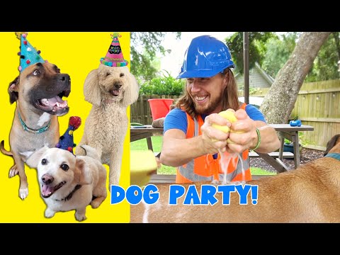 Handyman Hal Learns About Dogs For Kids 