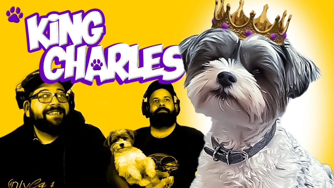 My Dog CHARLIE Prays for Team Victory !