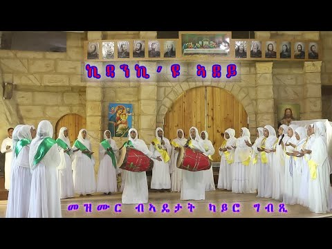 ቪዲዮ: ቢታንያ ሀሚልተን በምን ይታወቃል