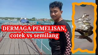 cotek vs semilang di dermaga pemelisan##dermagapemelisan#mancingpinggiran screenshot 4