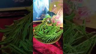 जहां गलती ना हो #bhagwat #artist #bhagwatkathakatha #nature #bhajan #sorts #dj #vlog #art #flowers