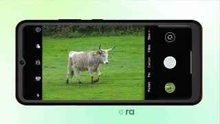 Cubot Note 21