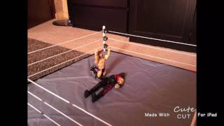 Daniel Bryan backflip on Kane (stop motion)