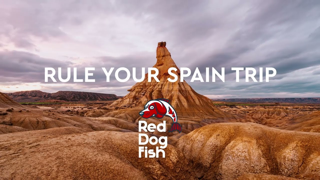 You build your travel plan. RedDogFish eSim keep you connected — anytime, anywhere