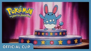 Azumarill is the star of the show! | Pokémon: The Johto Journeys | Official Clip