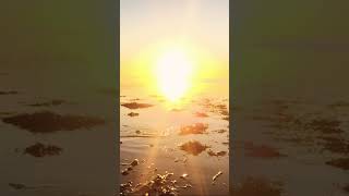 Good morning everybody 🌞 #panorama #sunset #nature