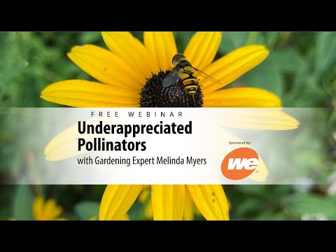 Underappreciated Pollinators