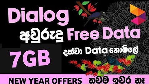 දැන්ම ගන්න ඉවර වෙන්න කලින් ! NEW YER FREE DATA | DIALOG FREE DATA 2023 | MOBITEL NEW YEAR FREE DATA