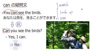 2. canを使った疑問文（サムネイル画像）