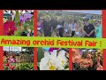 Amazing orchid festival  plant fair