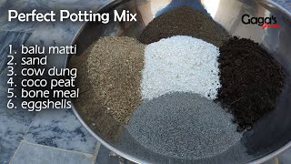 Perfect Potting Mix Recipe | Growing Medium for Plants | Universal Soil | Gaga's Garden