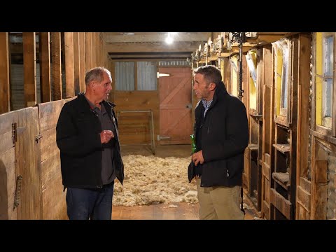 Interview with Peter from Mokairau Herefords 2022