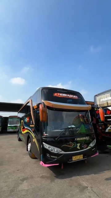Story Wa 20 Detik Warga Baru Desmond!!! #basuriairhorn #basuribussid #automobile #busmania #basuri
