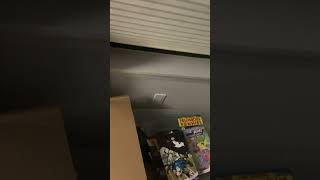 IMG 1142