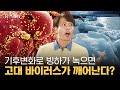 알아도 외면하고 있는 한반도 기후변화의 실체😱ㅣ파비앙&김중혁의 유스레터 EP.08 [ENG SUB]