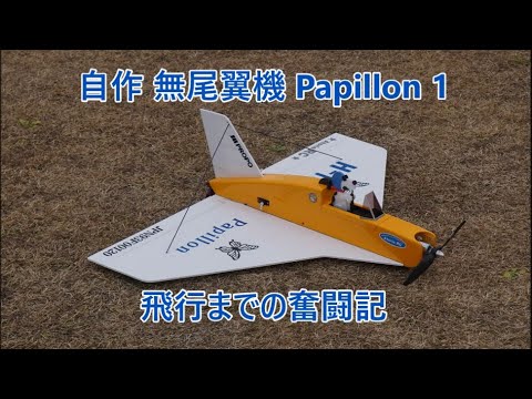自作無尾翼機 Papillon の製作から飛行までの奮闘記 - YouTube