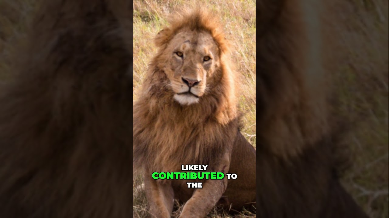 Unveiling the Lion: The True King of the Jungle