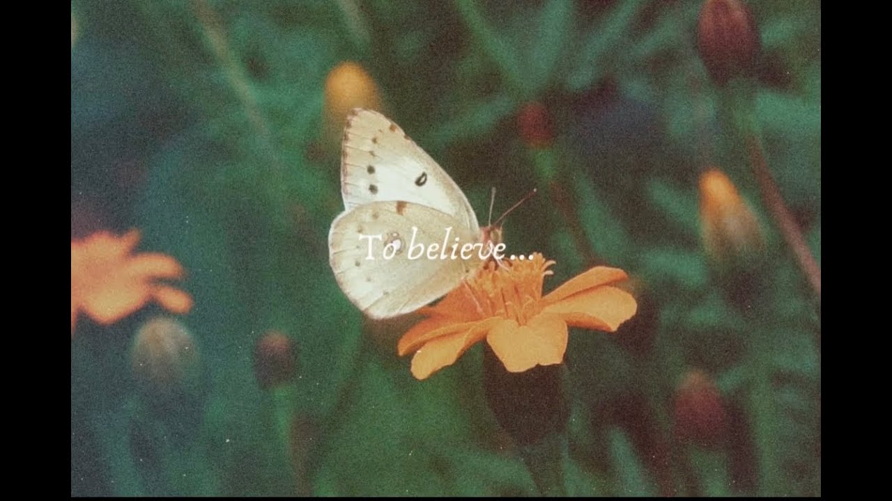 To Believe- Samsaruh Official lyric video