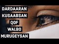 DARDAARAN KUSAABSAN QOF WALBO MURUGEYSAN DHIIRIGALISO HAYFAA MALLIN 
