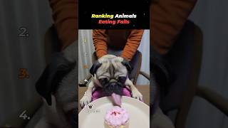 Ranking Animal Eating Fails 😭