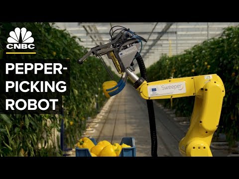 Watch This AI Robot Pick Peppers With A Tiny Saw