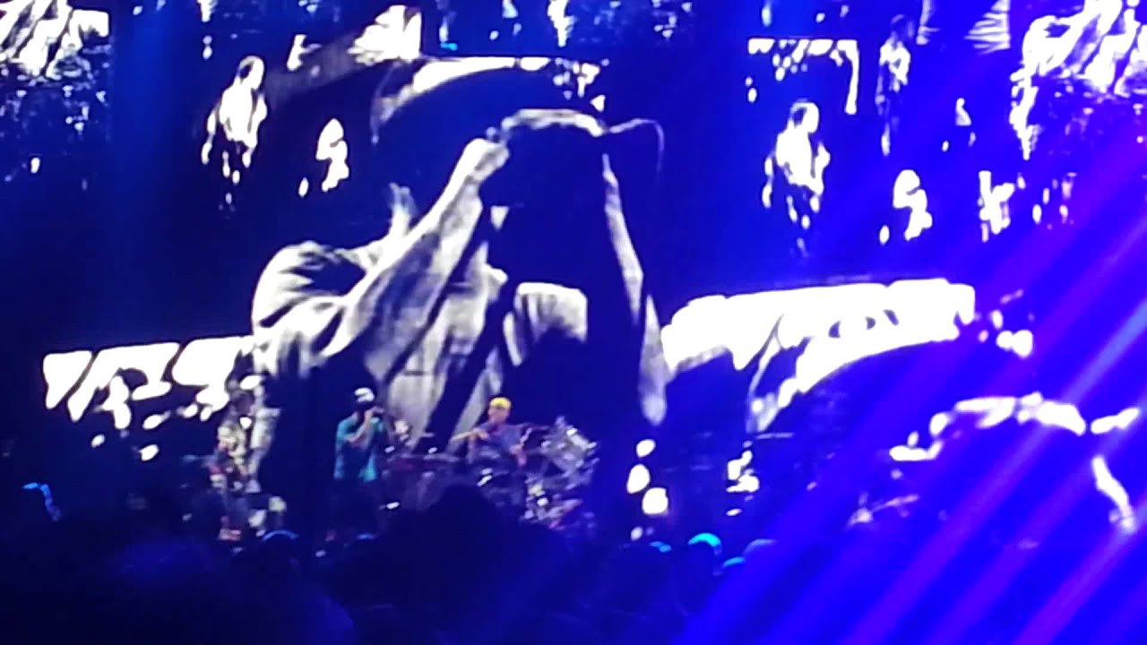 Red Hot Chili Peppers Dani California YouTube