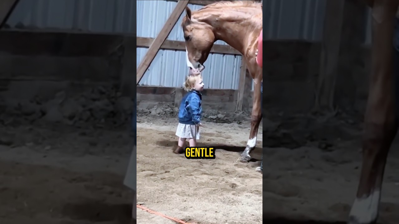 Unbreakable Bond: Baby & Horse Love ❤️🐴. 