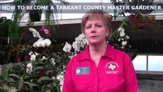 Exclusive How to Become a Tarrant County Master Gardener Profile