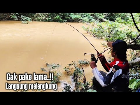 Gara-gara..!! Pakai umpan ini banyak ikan yg jadi korban aromanya