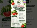 best healthy food watermelon- benefits in summer# watermelon nutrition facts