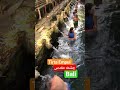 چشمه ی مقدسی که معتقدند غوطه ور شدن درعمق این آب ها می تواند سبب دست یابی به خوشبختی و سلامتی میشود چشمه ی مقدسی که معتقدند غوطه ور شدن درعمق این آب ها می تواند سبب دست یابی به خوشبختی و سلامتی میشود