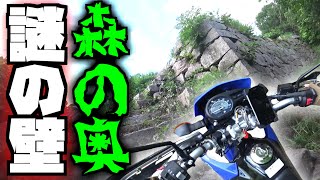 【モトブログ】夜怖い場所！昼に行くと何があると思う？XTZ125【フルプラ工場】