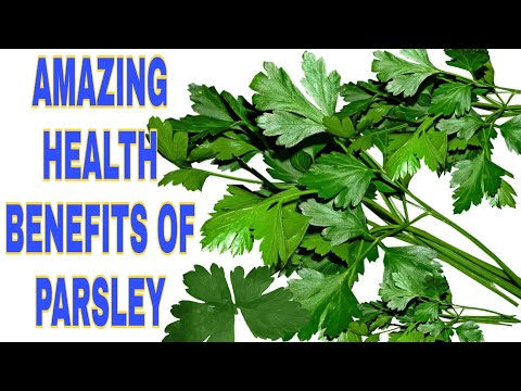 AMAZING HEALTH BENEFITS OF PARSLEY (baqdonis)