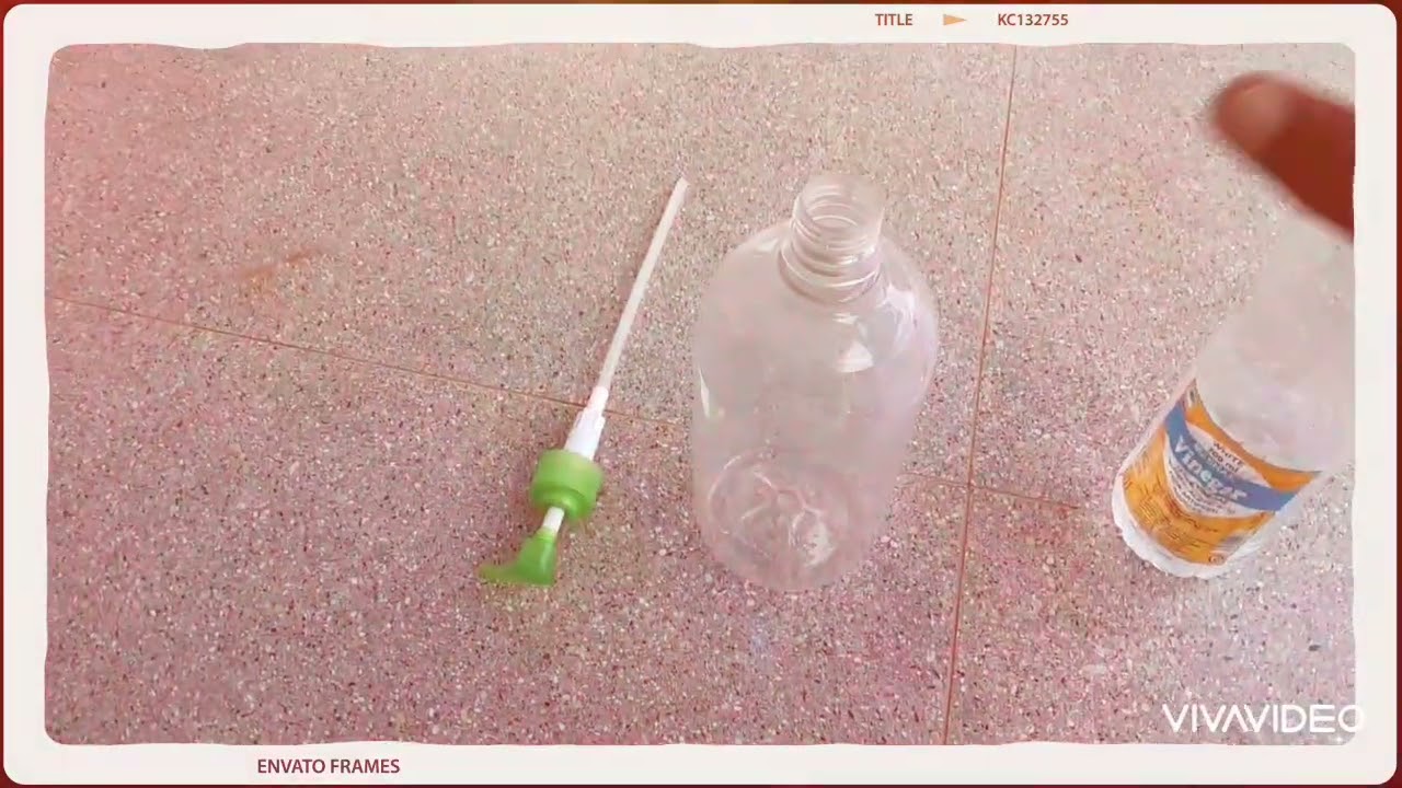 "Kill pest, not your plants"- natural pesticide from plant extracts