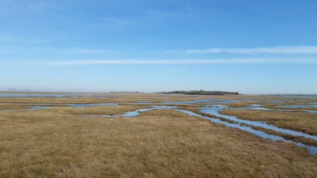 A walk on the sea wall.