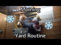 Morning yard routine