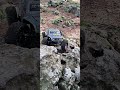 😎#rc #scalerccrawler #rccar #hobbyplus #ascent18 #shortvideo #shorts #trx4m #scalerc #4x4rc #scalerc