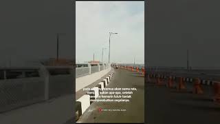 Download Lagu SLANK - SLANK DANCE #storywa #story #storywaslank #shortsvideo #shorts #youtubeshorts MP3