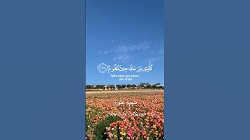 سورة الشعراء الآية (217)||وَتَوَكَّلْ عَلَى الْعَزِيزِ الرَّحِيمِ||القارئ إسلام صبحي #قرآن