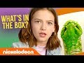 What’s in the Box? 📦 Halloween Challenge 🎃 ft. Jayden Bartels & All That! | Nick