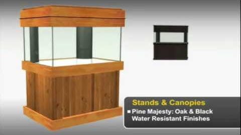 Marineland - A Complete New Look at Marine: Part 2