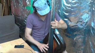 Latin New York - Alfredo de la Fé (2000) - Ampeg Baby Bass BB5