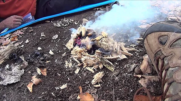 Spontaneous punk wood combustion.