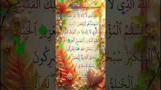 😊Surah-AL-HASHR(سورۃ الحشر) | Huallahullaji la ilaha illa Hu #shorts #shortvideo #lofi  #short