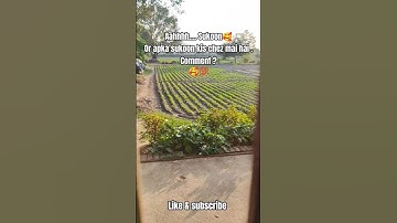 tag your sukoon 🥰 #sukoon #peace #silent #place #love #viral