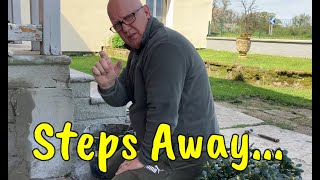 Repairing Concrete Steps! #Veg Update #Dove Box #40