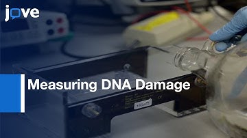 CometChip: High-Throughput 96-Well Platform: Microarrayed Human Cells l Protocol Preview